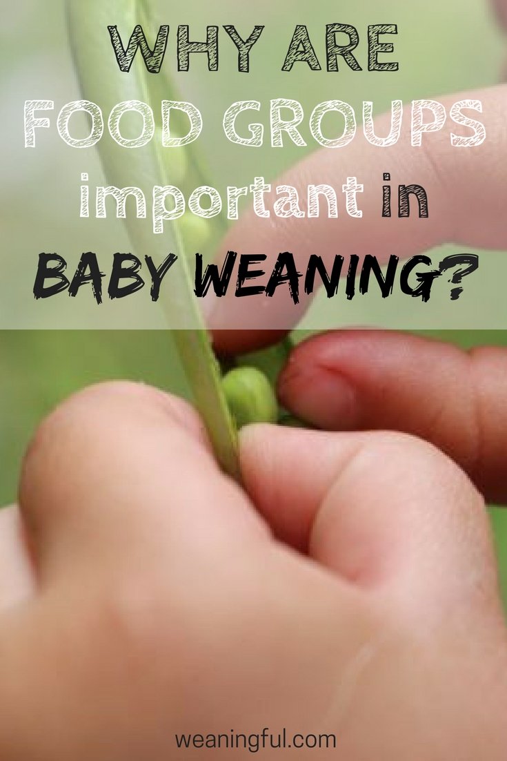 why are food groups important in baby weaning and baby nutrition