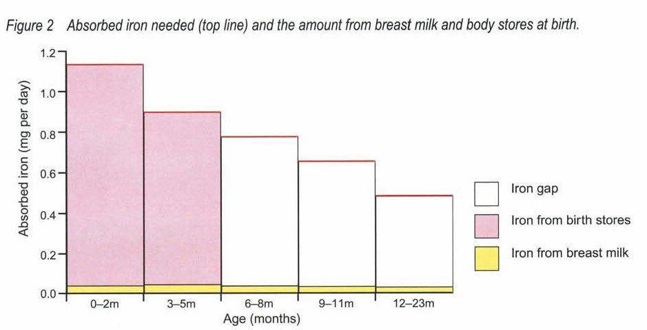 iron fact regarding absorption needed in babies