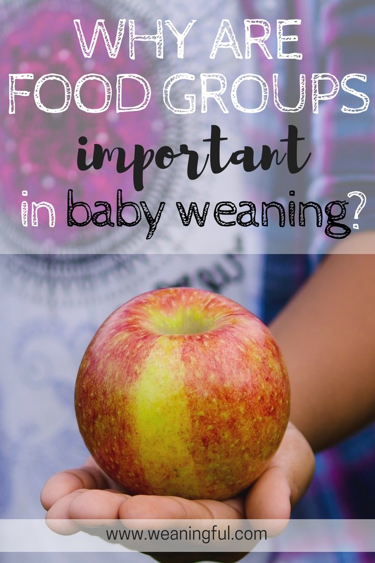 food groups in baby (led) weaning