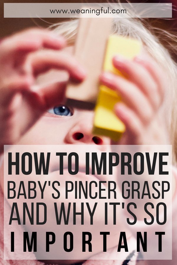 Starting or introducing solids at 6 months+ will develop baby's pincer grasp or pincer grip as he learns to pick up first foods and finger foods. Here's what you can do to improve his grasp, whether you're doing baby led weaning or have started the puree method. Find out why it's important for baby to develop this skill early on.