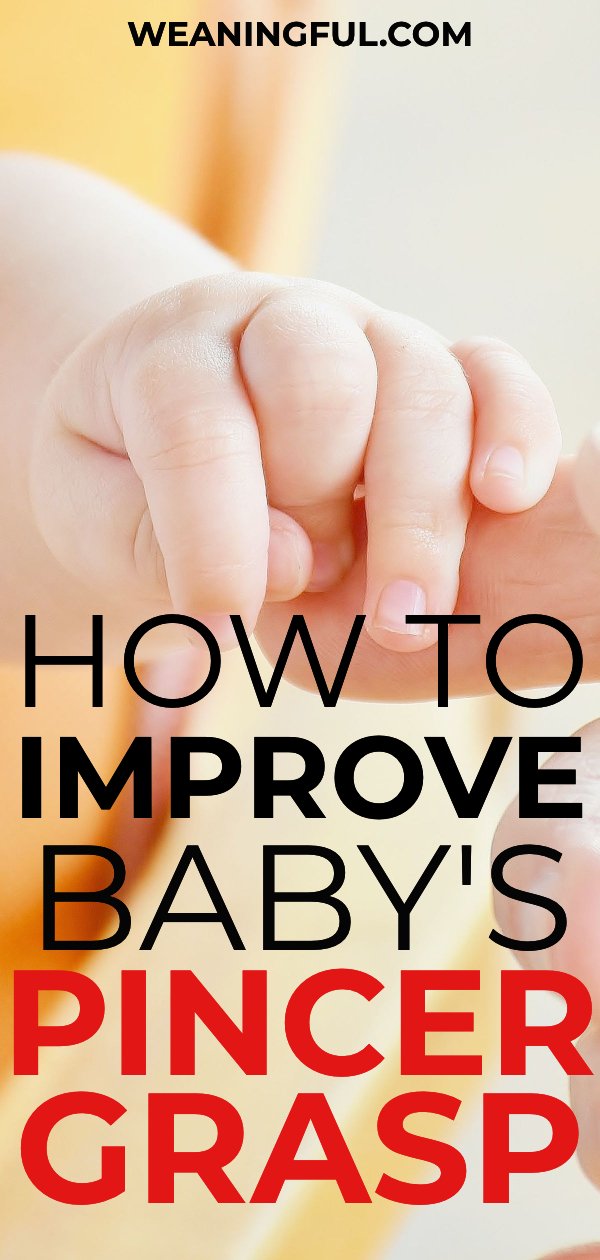 One of the most important developmental skills in baby led weaning is the pincer grasp (or pincer grip). Find out why it is so important for babies and how to improve it.