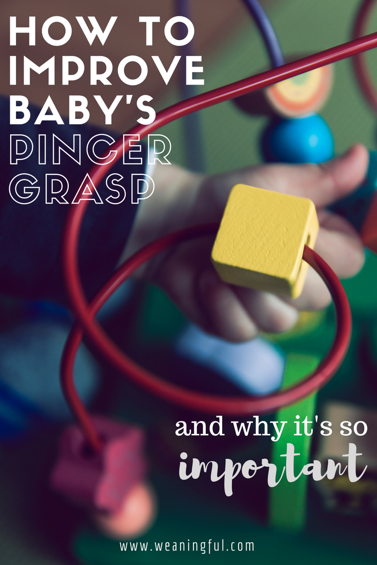Starting or introducing solids at 6 months+ will develop baby's pincer grasp or pincer grip as he learns to pick up first foods and finger foods. Here's what you can do to improve his grasp, whether you're doing baby led weaning or have started the puree method. Find out why it's important for baby to develop this skill early on.