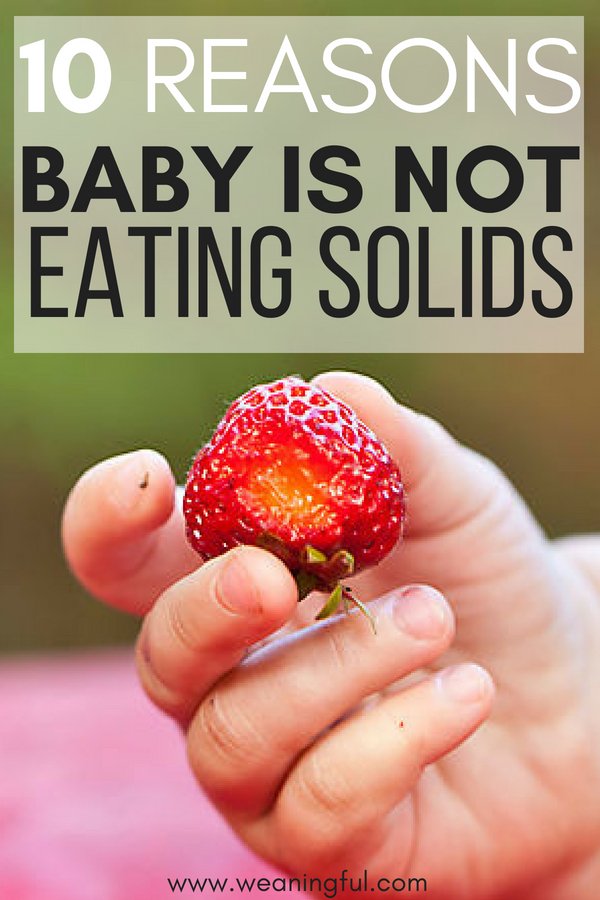 10 reasons your baby might not be eating first foods or finger foods. Whether you're doing baby led weaning or doing the puree method, these might be some reasons why baby refuses solids. Introducing or starting solids at 6 months.