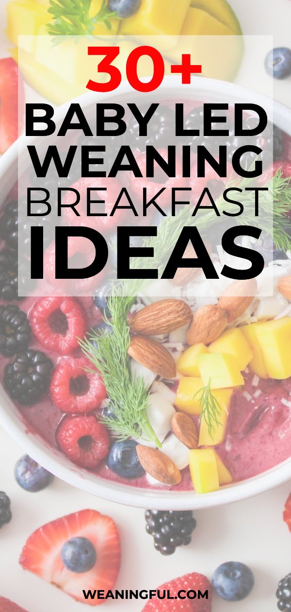 Looking for healthy breakfast ideas for your little one? This list of over 30 ideas is great both for baby led weaning and traditional weaning alike, and it's packed with great finger foods and first foods for babies 6 months and up.