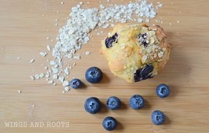 blueberry banana oat muffins baby led weaning breakfast ideas finger food first foods