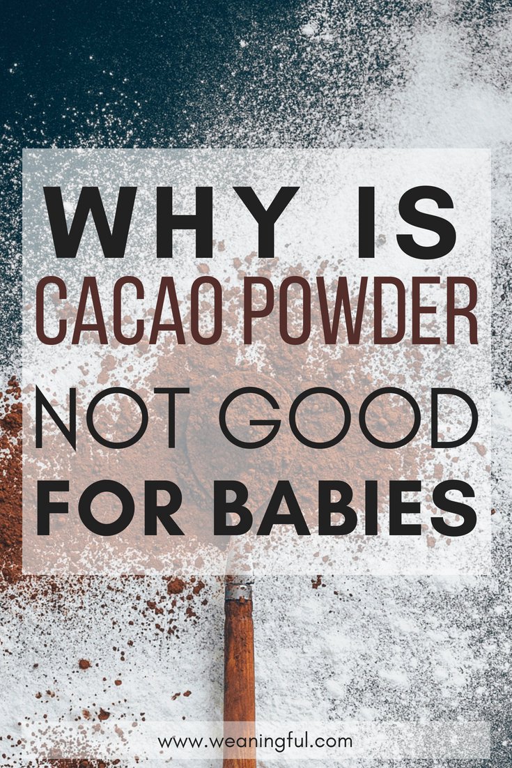 cacao powder and starting solids - introducing solids at 6 months, finger foods and first foods shouldn't contain this ingredient - see why cacao powder is not recommended in baby led weaning recipes and meals or even toddler foods