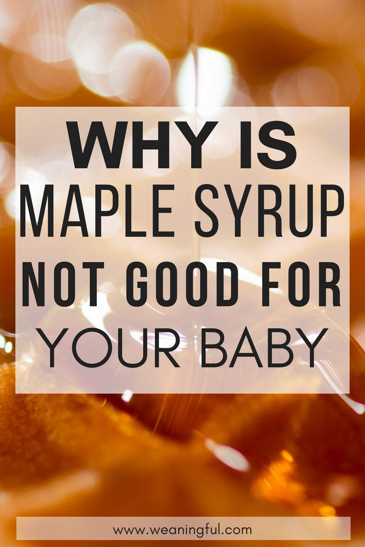 baby led weaning recipes and meals should not include maple syrup when starting solids at 6 months. See why it is not recommended as first food for your baby