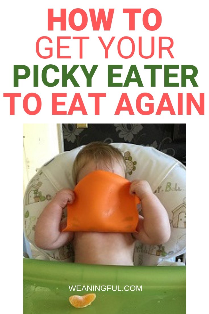 Picky eaters are made, not born. Find out how to deal with a fussy eater with these 33 useful tips for picky eating. You won't need to search for baby led weaning recipes for picky eaters ever again! Click to read more!