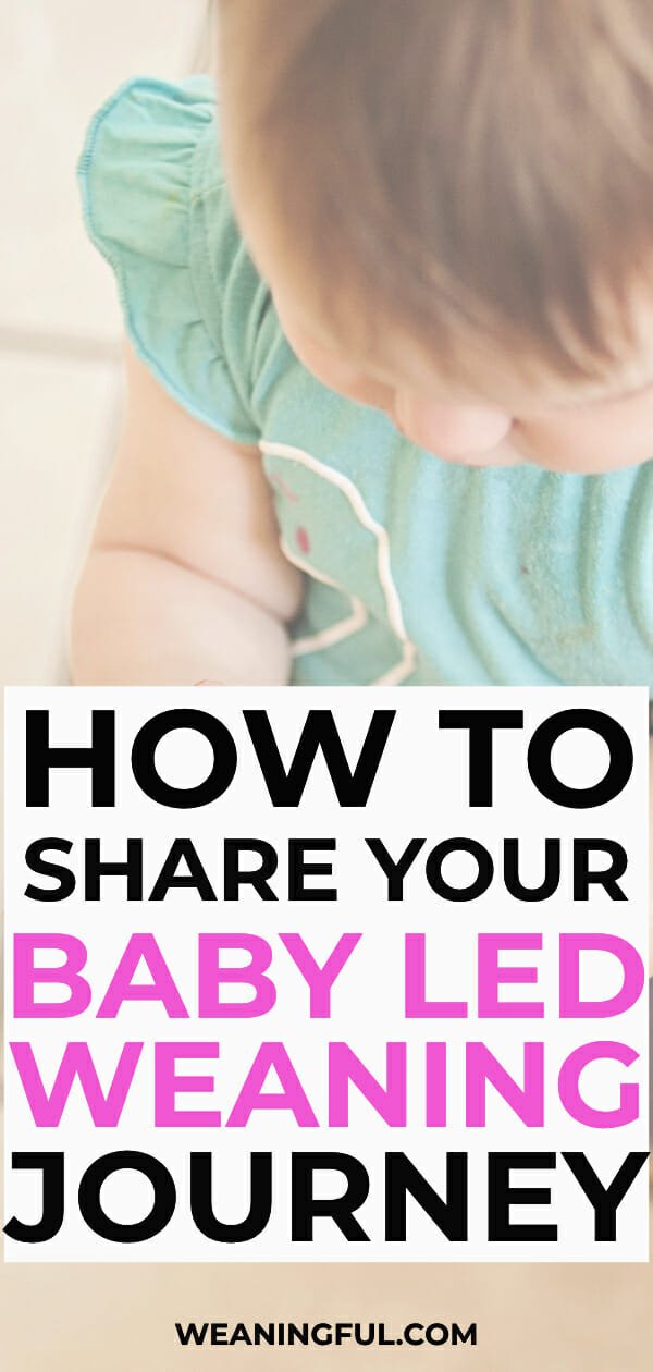 Doing baby led weaning (blw) with your little one? How about sharing your experience with other parents and starting a blog? This post will show you how to start a mom blog focused on baby led weaning recipes, tips and baby nutrition.