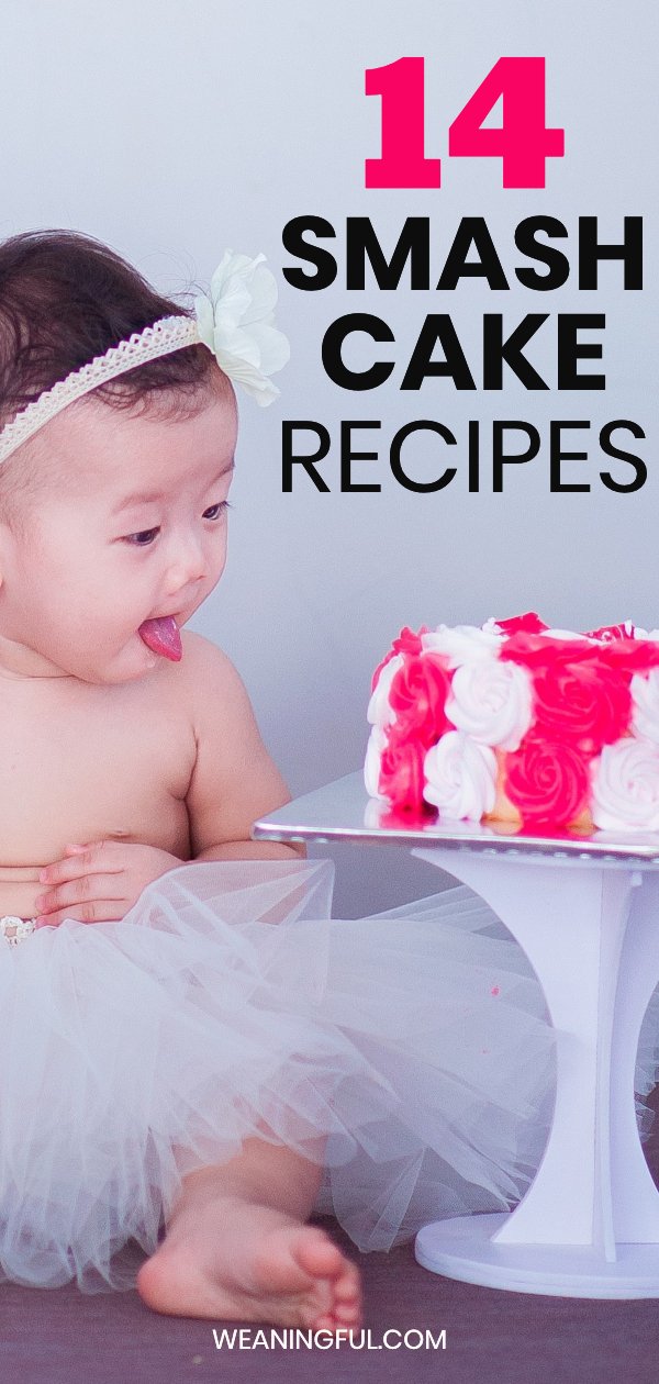 Do you have a 1st birthday coming up? This post has 14 healthy mash cake ideas for your baby's or toddler's birthday.