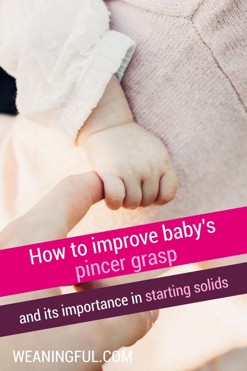 The pincer grasp or the pincer grip is an important development stage in a baby's life, getting him or her ready to transition from milk to table foods. Find out about its importance when starting solids.