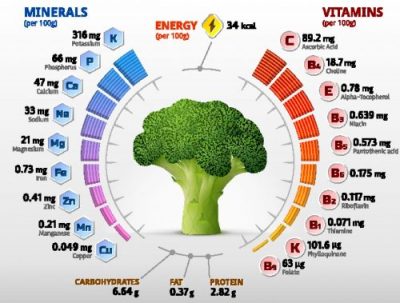 A graph showing how to cook broccoli so that it keeps its vitamins and minerals