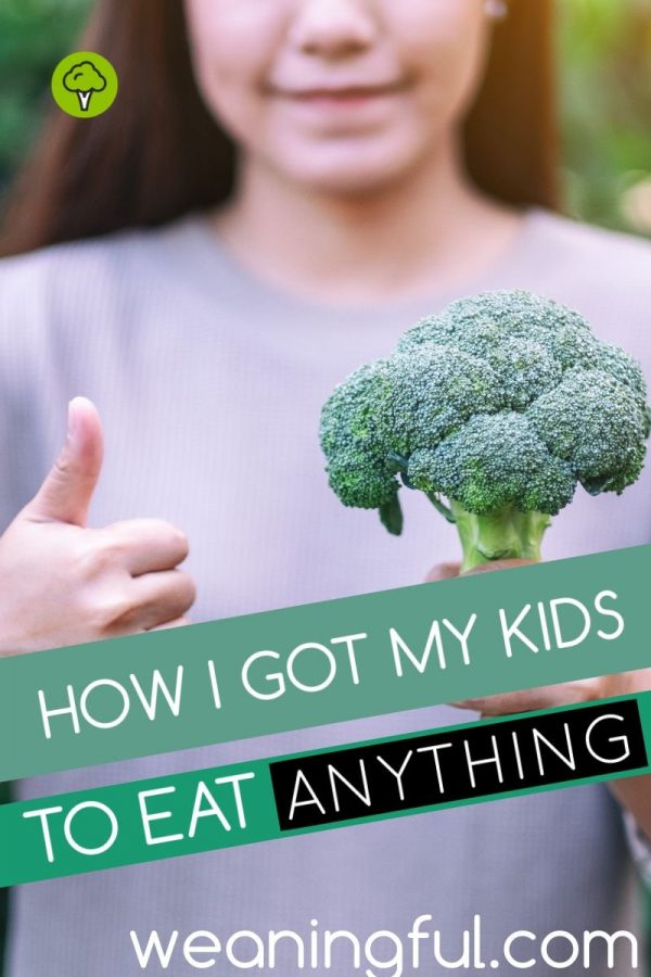 Find out how I got my toddler and pre-schooler to try any food, after previously rejecting it.