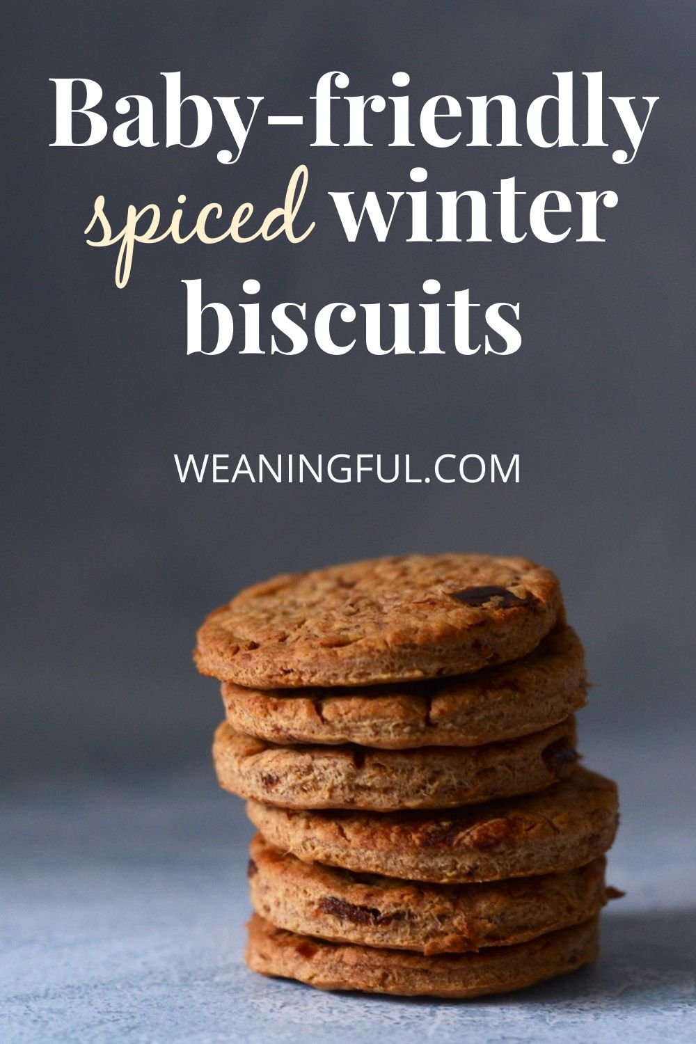 These baby-friendly spiced winter biscuits are a great alternative to gingerbread and sugar-free too. You can make these with your kids and enjoy eating them together as Christmas cookies why not?