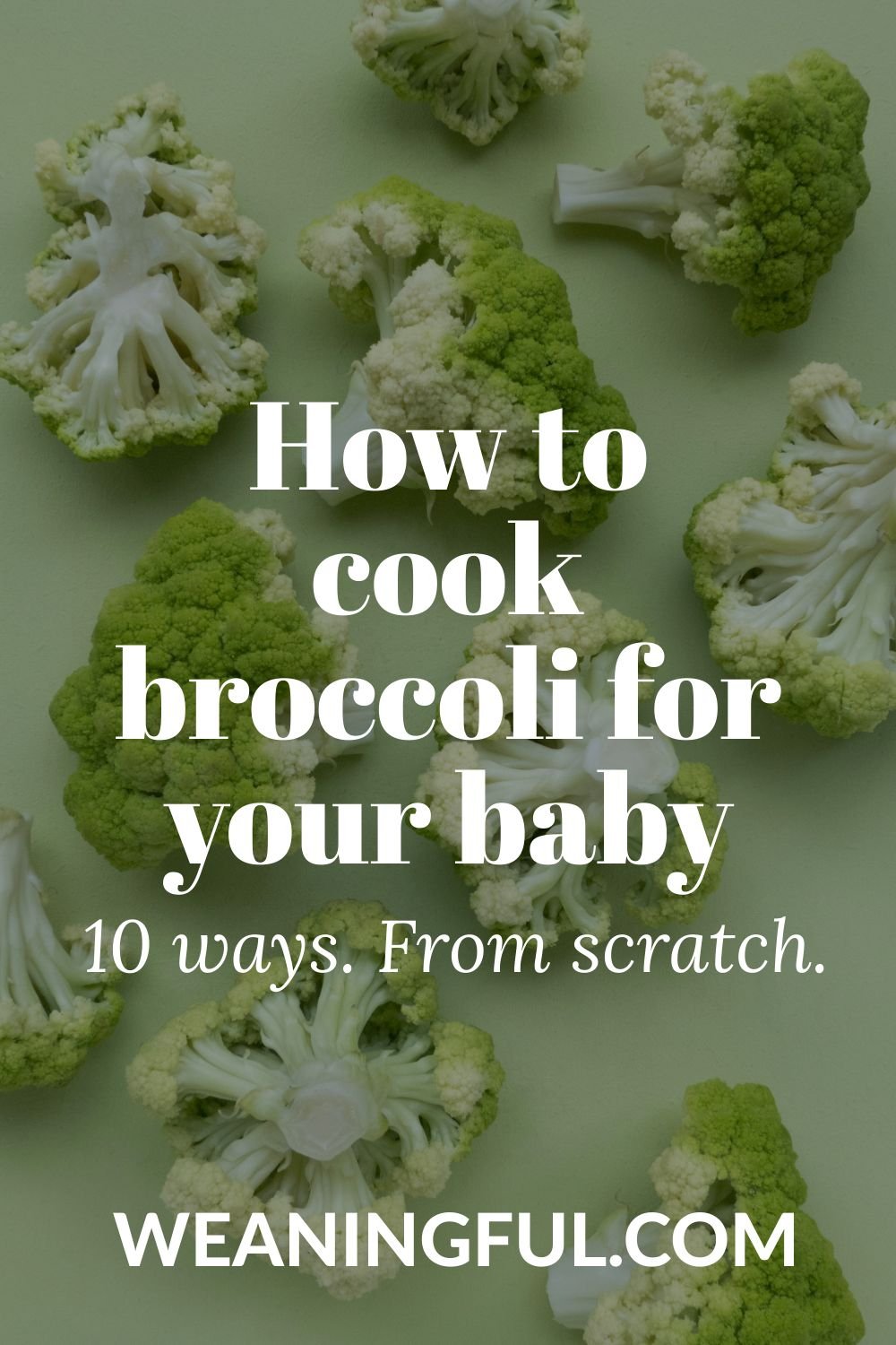 Find out how to cook broccoli for your baby, toddler or older kid with 10 techniques and basic recipe ideas that you can use over and over again when you want something quick and easy. Boiling or steaming broccoli are not the only ways to cook it.