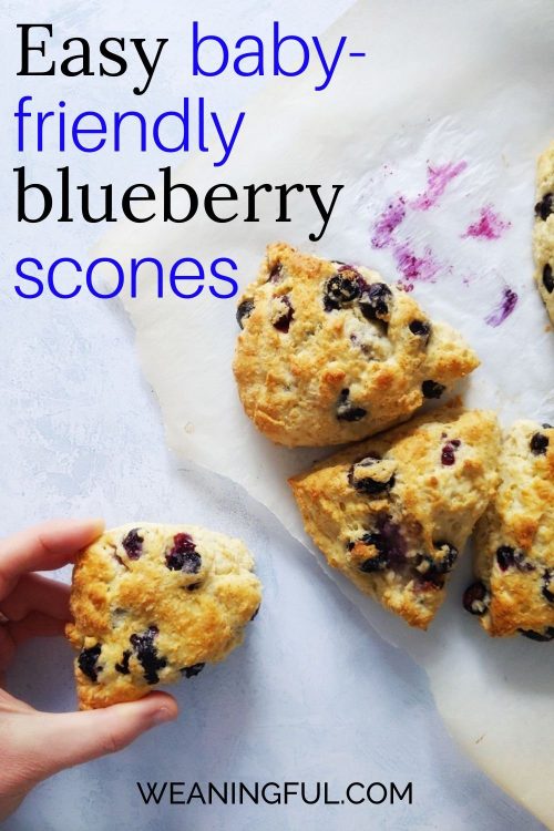 a flatlay of baby friendly scones with blueberries