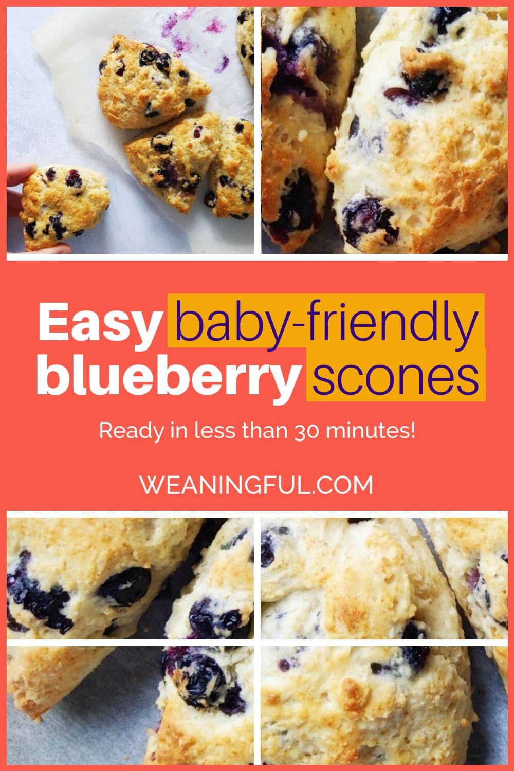 easy baby friendly scones with blueberries