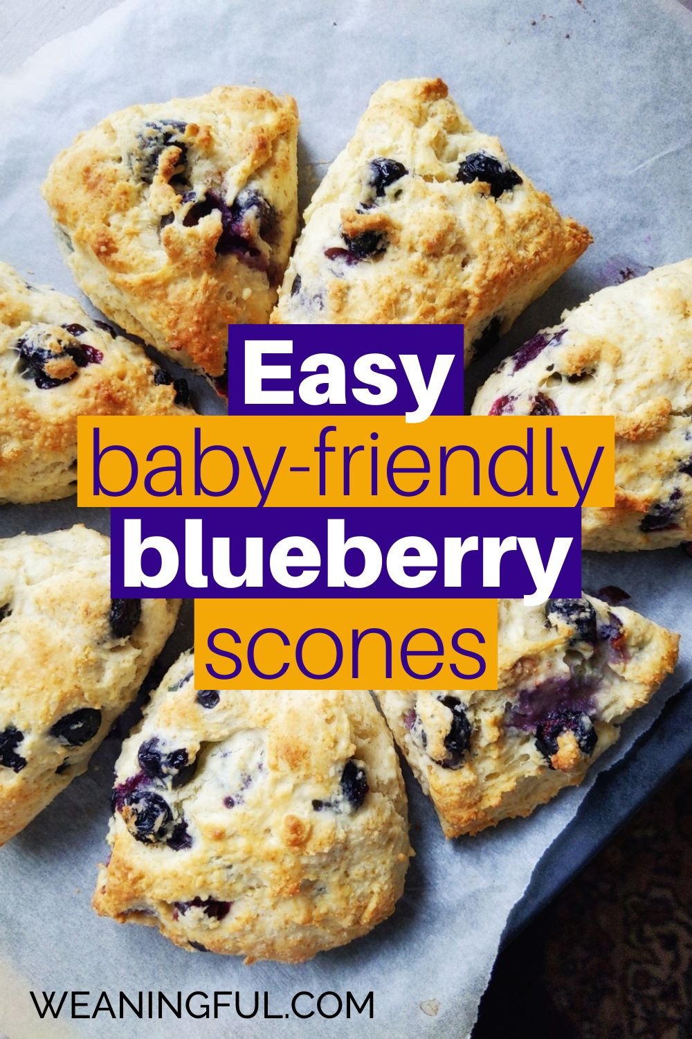 a flatlay of baby friendly blueberry scones fresh out of the oven