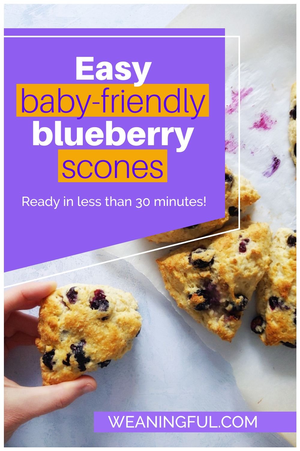 hand holding a baby friendly scone with more scones on a piece of parchment paper